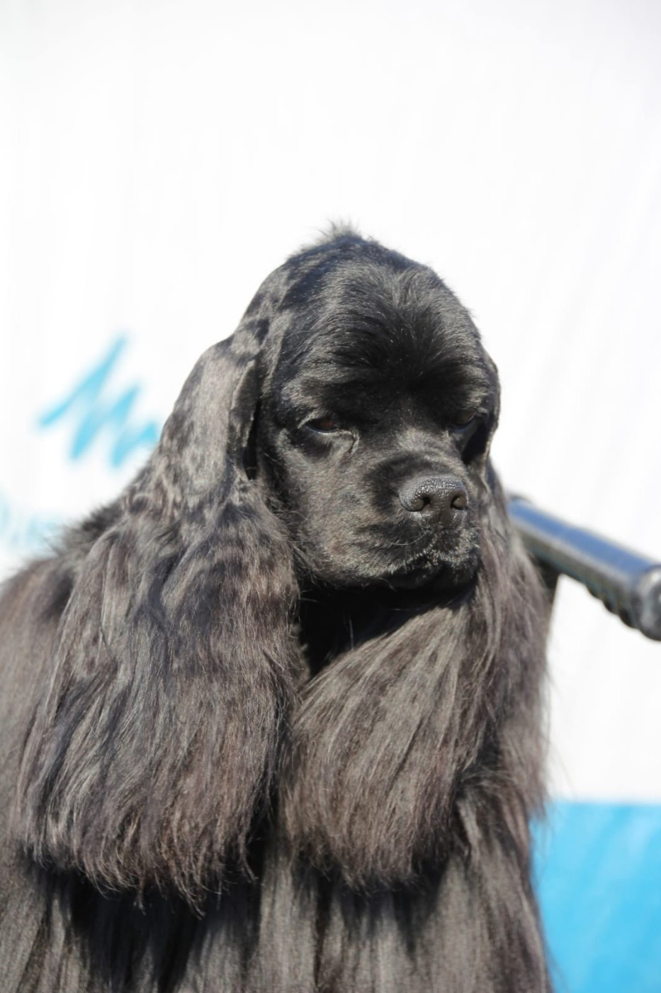 UNDER AMOUR VIGIE Du clos des abysses de provence